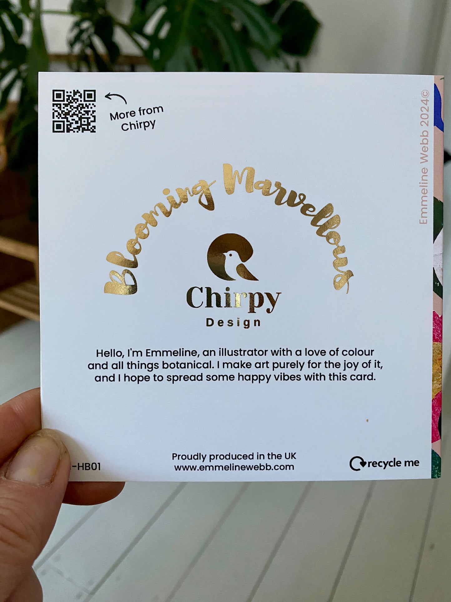 *NEW* Go Wild... It's Your Birthday!