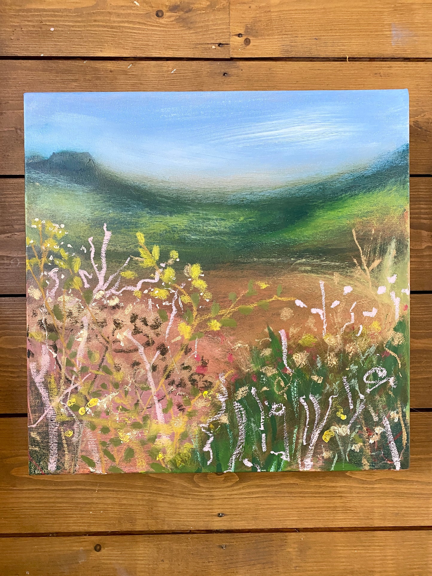 Springtime Joy - Walks Series