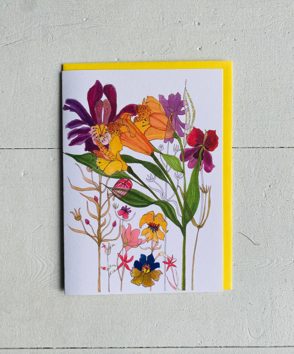 Alstroemeria Card - Sketchbook Botanical Range