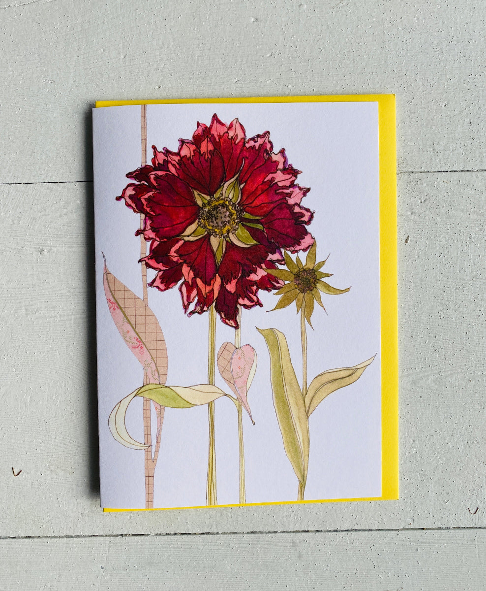 Red Gaillardia Card - Sketchbook Botanical Range