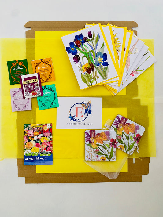 *NEW* Sketchbook Botanicals - GIFT PACK