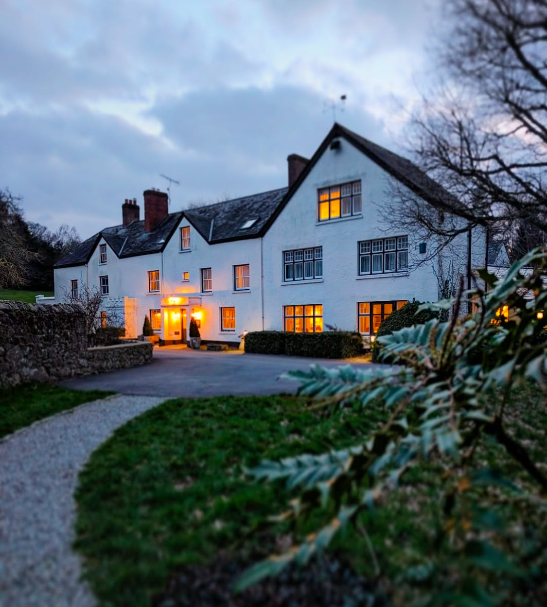 Watercolour Collage Workshop - February 2026