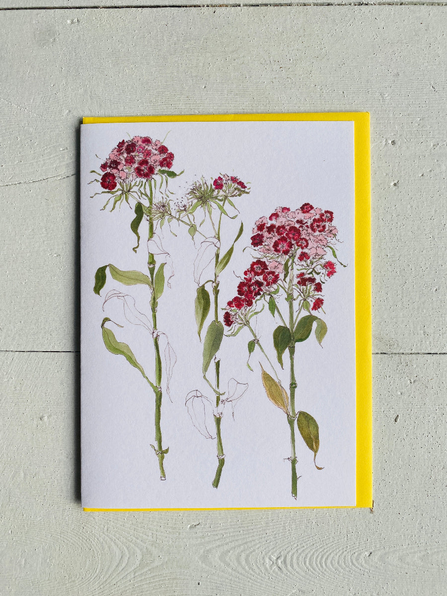 A botanical art print featuring three watercolor-style pink and red flower stems with green leaves, presented on a white card with a bright yellow border, set against a light gray wood background.