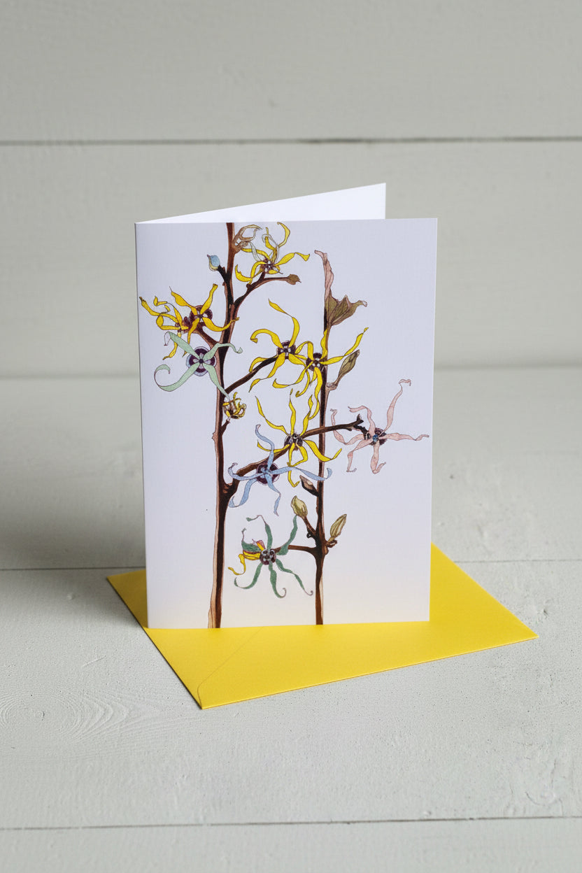 A vertical greeting card featuring a botanical illustration of catkins and flowers on brown branches, with a bright yellow border, displayed on a light gray textured background.