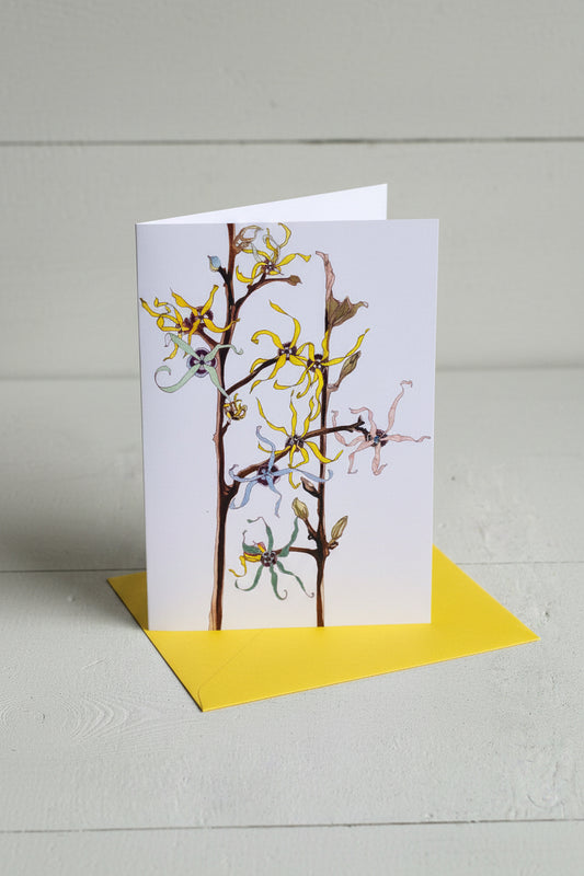A vertical greeting card featuring a botanical illustration of catkins and flowers on brown branches, with a bright yellow border, displayed on a light gray textured background.
